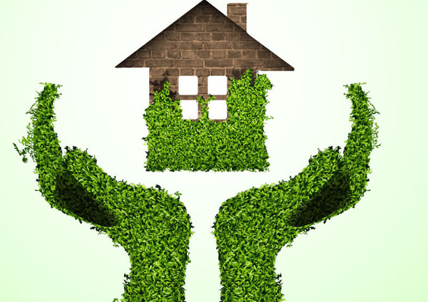 硅藻泥“火”了就憑這三點(diǎn)！